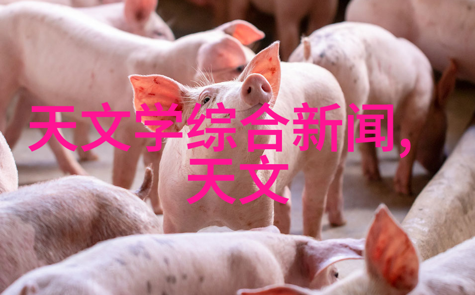山东外国语职业技术大学青春梦想的殿堂