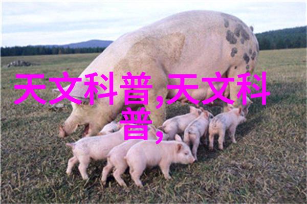 长期使用后的土壤退化问题怎么解决可以通过何种技术来提升再次施工前的基底质量