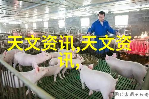 郑州财经学院金砖之城的学术辉煌