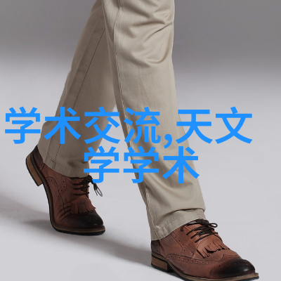 暖气换热器我是怎么从哐哐响的老旧暖气转变成现代生活中的温馨伴侣