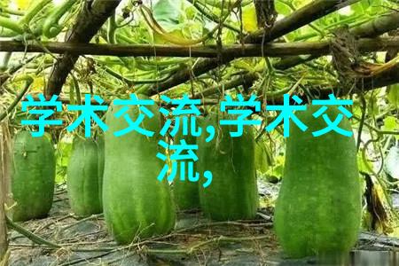 人工湿地火山岩填料我来告诉你怎么做一个小型的家庭人工湿地让它变得既美观又实用