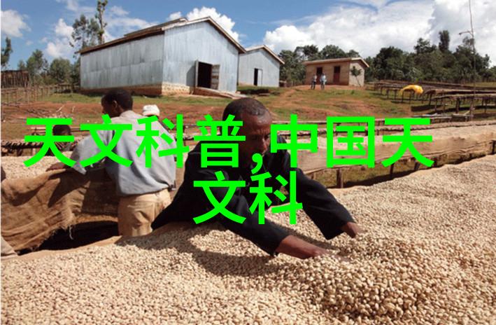 报告撰写技巧如何正确组织信息