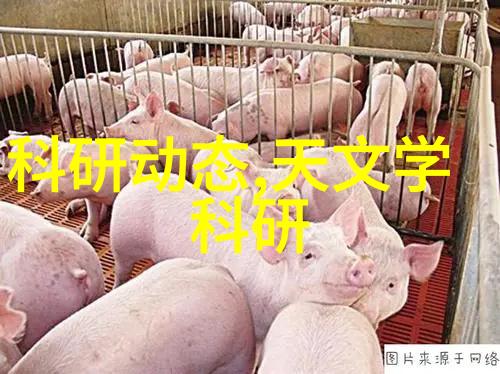 智能穿戴产品是什么我为什么要买它