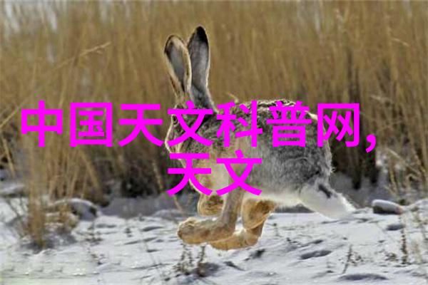 跨越千年貂蝉与两大兔子的奇遇之歌