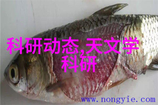 工业除烟除味净化器能否彻底消除工厂的污染