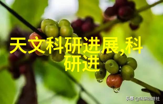 日常生活好久没有日常B了追求完美的日常生活