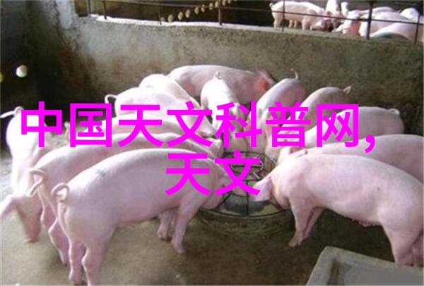 新能源利用在废水处理设备中的应用探讨
