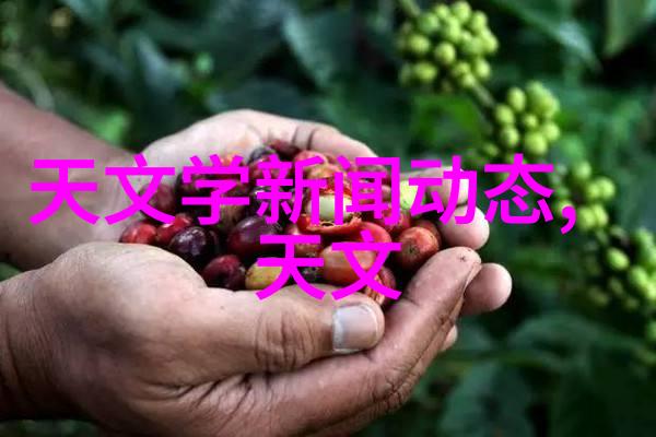 客厅装修设计图效果图大全家居美学全解析