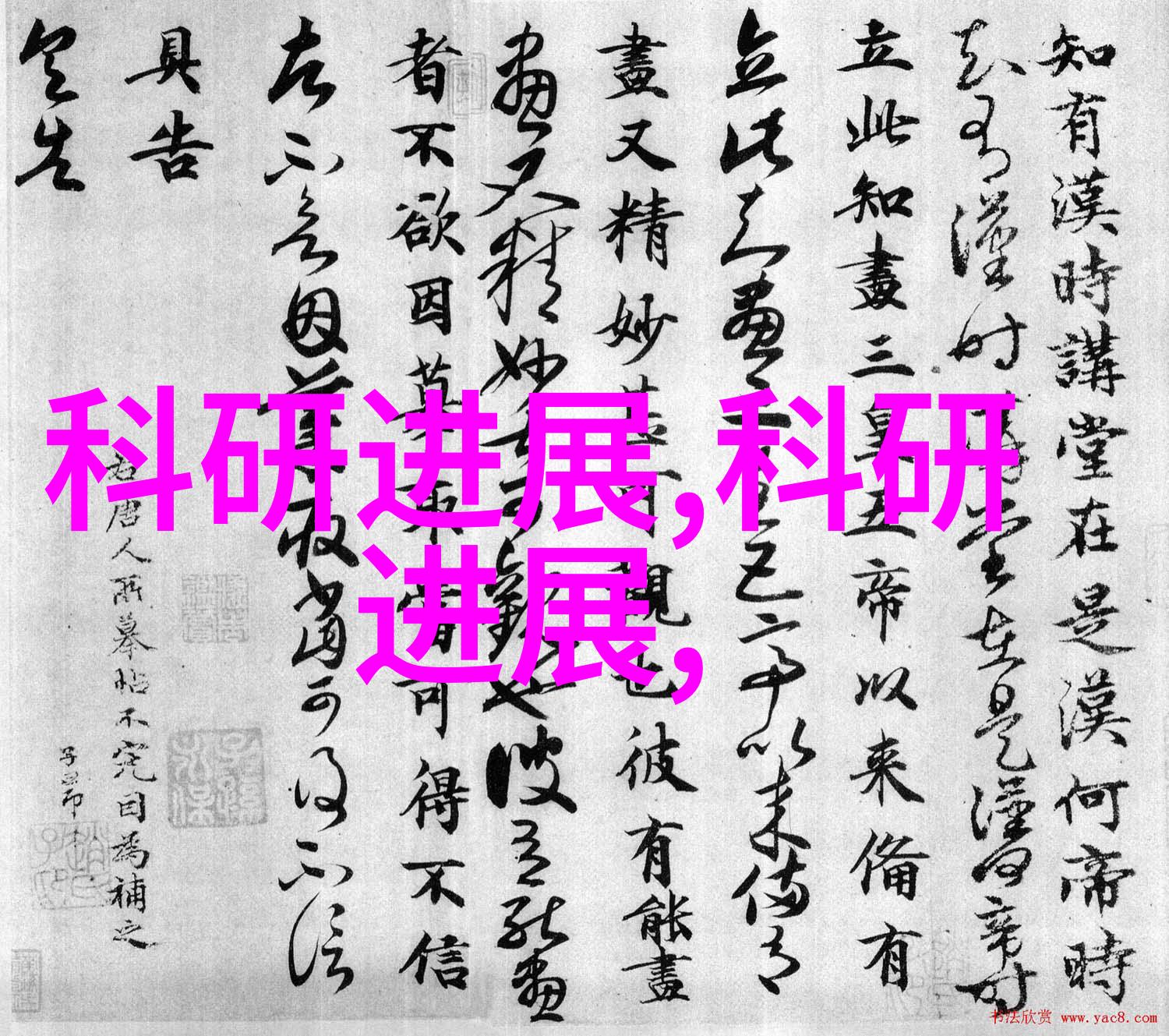 广西国际商务职业技术学院我在这里找到了我的商海梦想