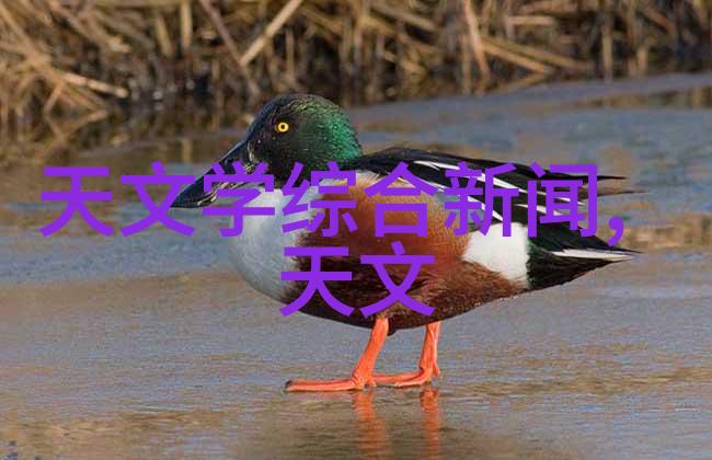 化工卫生泵的安全隐患探究如何保障操作人员健康