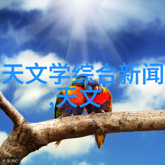 窝窝午夜看片http - 午夜影院探索网络视频平台的魅力与挑战