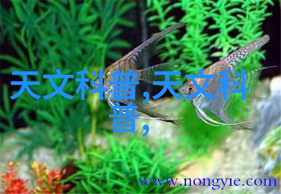 油水分離過濾技術在生物质能源领域的应用前景展望