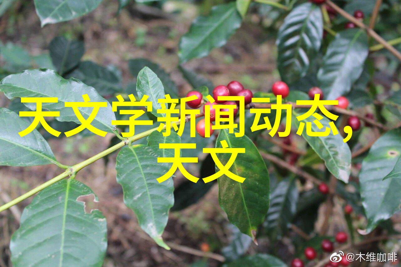 如何打造温馨舒适的牙科诊所装修设计图