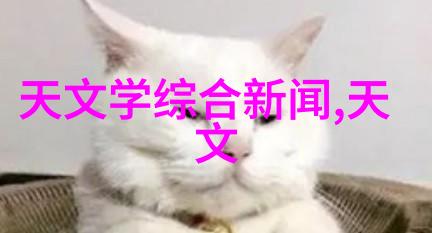 苹果新品发布会震撼科技未来革新生活方式