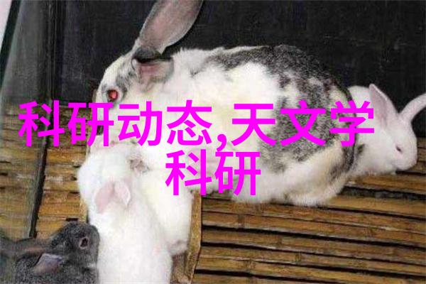 主题我是如何把那台烂掉的洗衣机给粉碎的