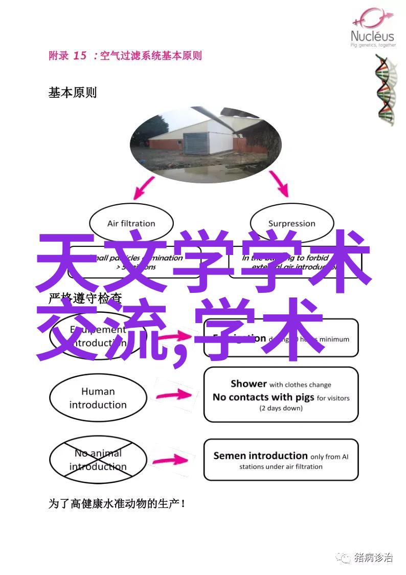 开襟JK做双人运动-轻盈舞动开襟连衣裙下的双人健身奇遇