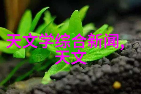 穿越古墓的秘密解读第七颗头骨的神秘意义