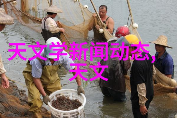 塑料工程超强耐磨的绿色选择PE100级聚乙烯管材之谜
