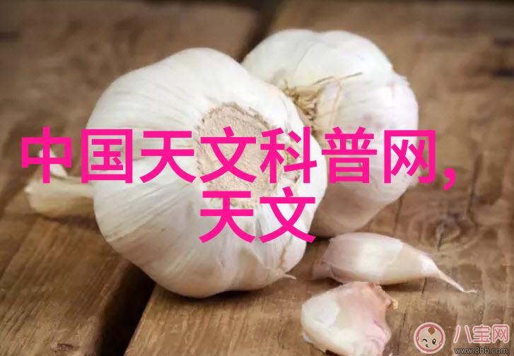 广东财经大学我在广东这座热闹的城市里找到了我的财经家园