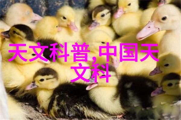 我连续灭菌设备让你的厨房工作更高效