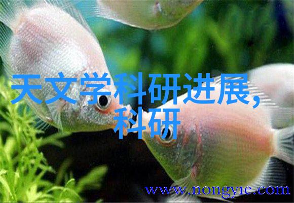 办公室设计装修-创意空间如何通过颜色和布局提升员工效率与幸福感
