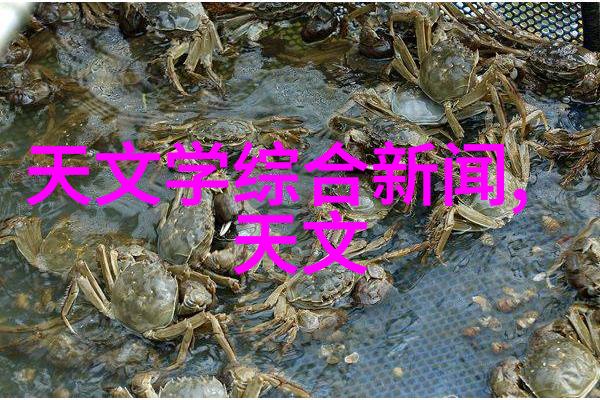 主题-中国专利号查询网入口精准检索知识产权的先锋