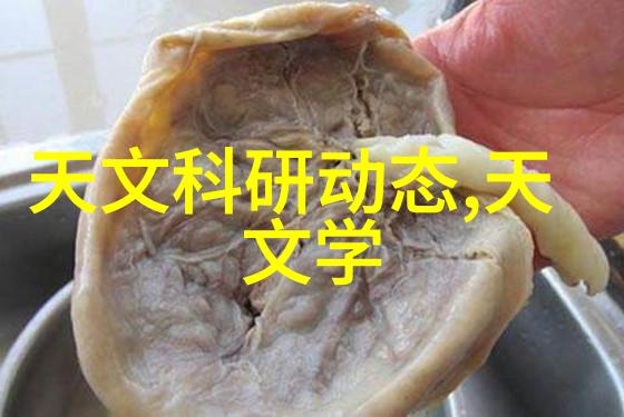 工程梦想管理的蓝图