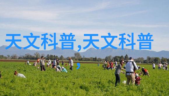 在进行个人或社区级别的现场水质监测时应如何避免污染并确保数据准确性