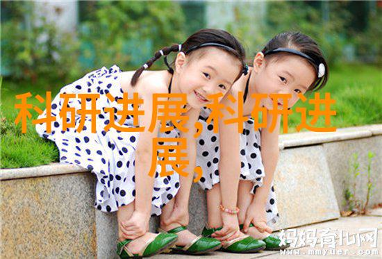 规整填料选择指南250y和350y的对比分析
