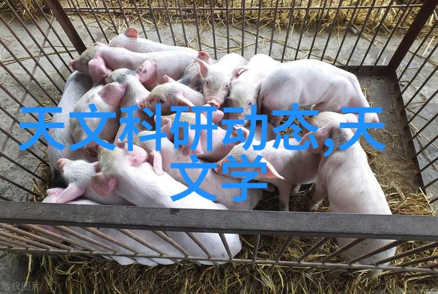 我和我的t型波纹填料
