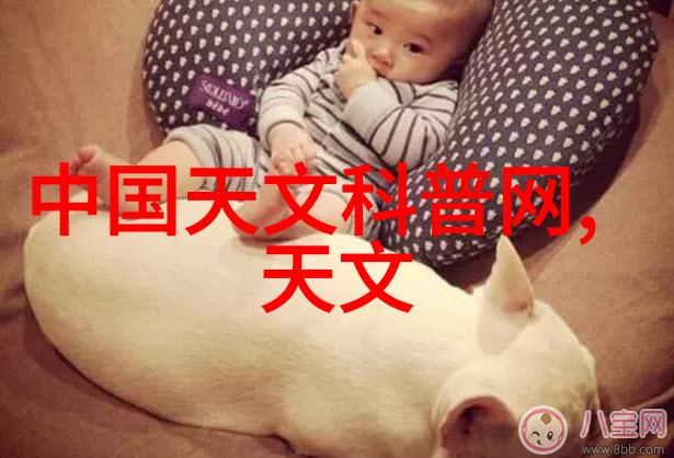 中国材料网探索新材料的未来之窗