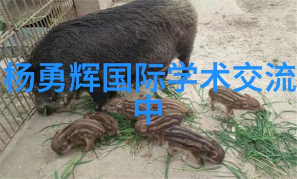化工药品外包装机械的市场规模如何