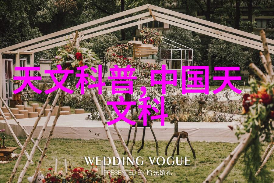 煤炭分选机-智能化与高效率新时代煤炭分选机的技术革新