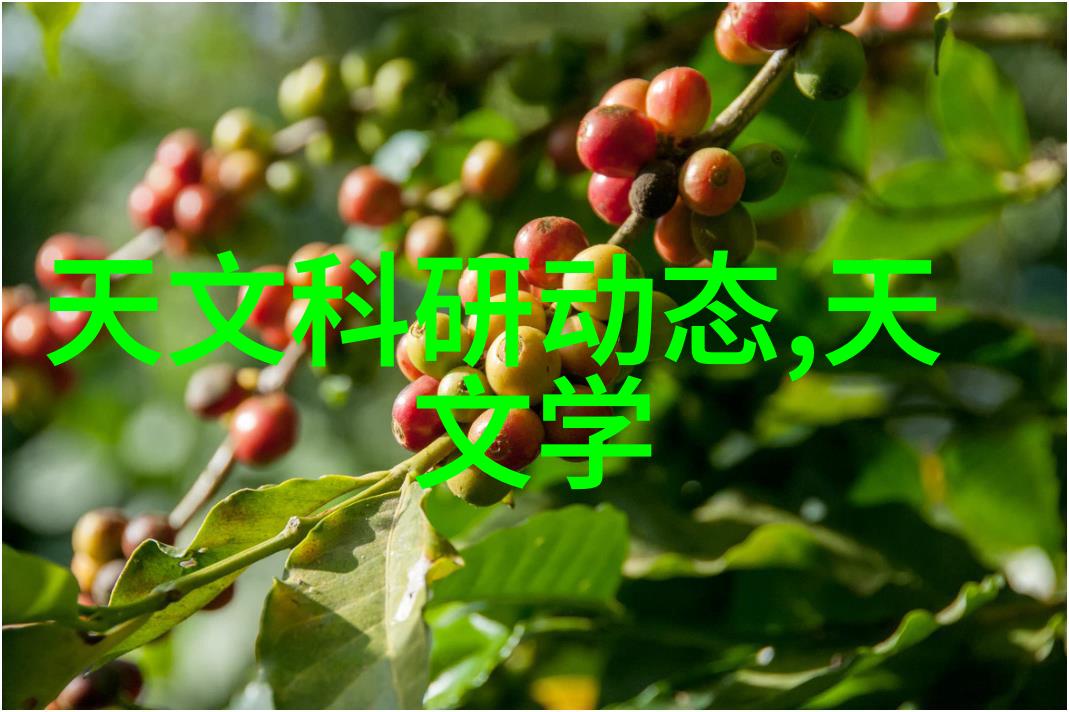 丙烷的化学世界从合成至应用