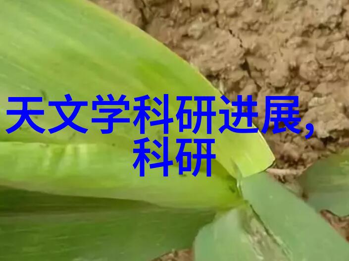 报告书学生的话怎么写撰写高效的学业报告书技巧