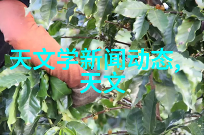 使用壓縮機前后對於壓縮機和壓縮機乾濕器的性能影響有什么不同之處嗎
