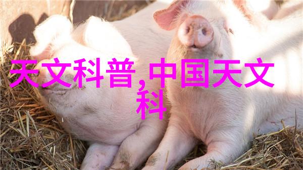 我们可以从哪里获取关于2023年智能装备展的详细信息和预告