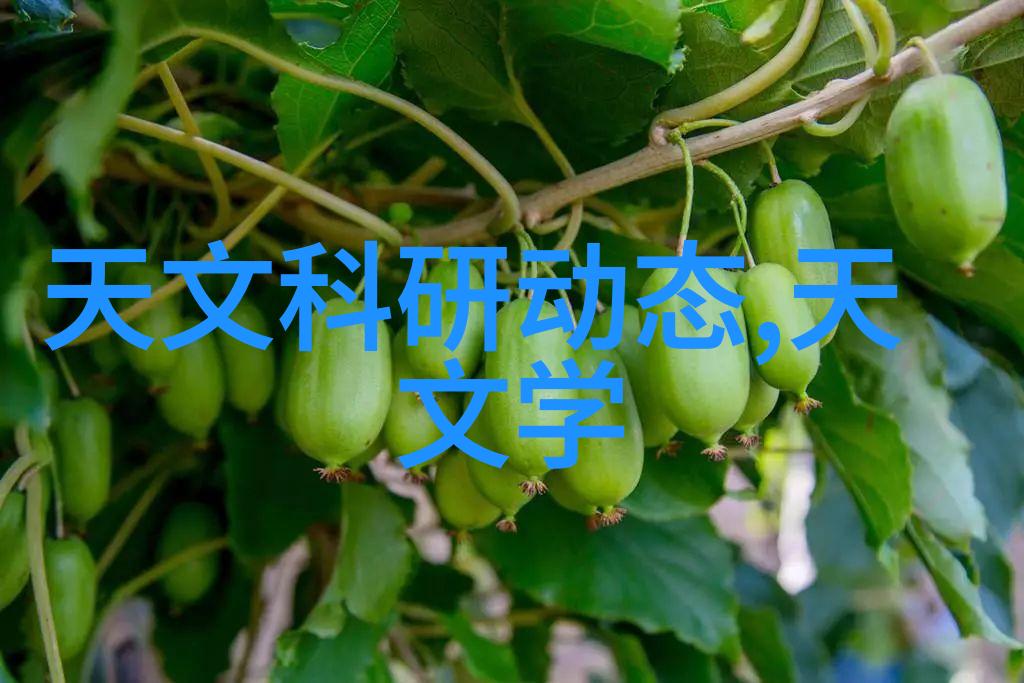 粉末的幻舞设备之梦