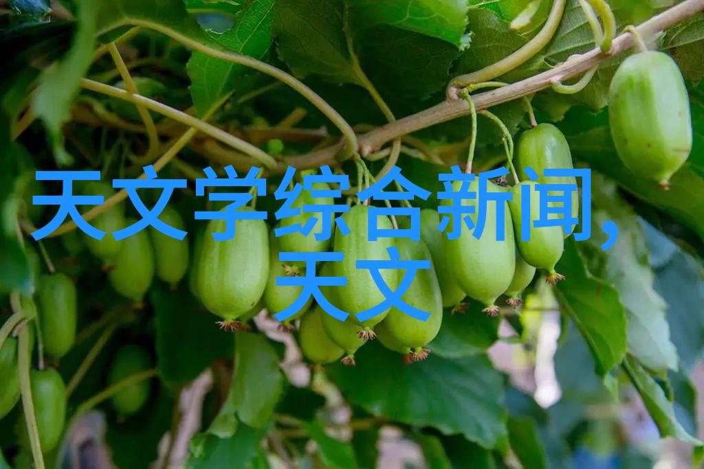 姜可小说全文免费阅读无弹窗笔趣我是姜可我来教你如何不花钱就能读到最热门的小说