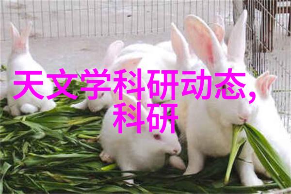 建筑工程质量管理条例解读确保房地产市场的健康发展