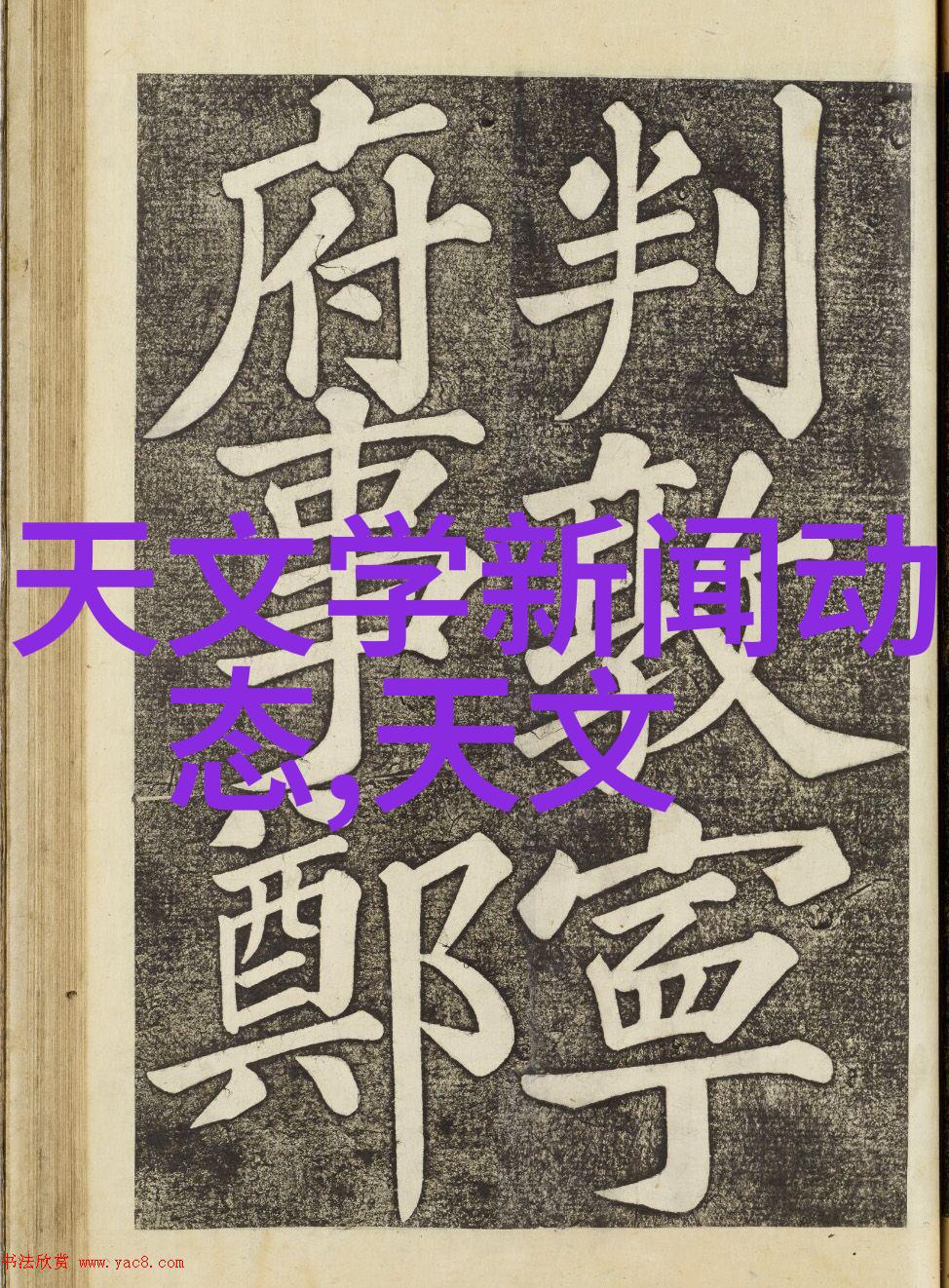 大型黑白色调设计巨大的黑白色彩图案