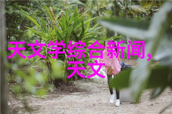 绿色循环溴化锂冷水机的高效回收与再利用策略
