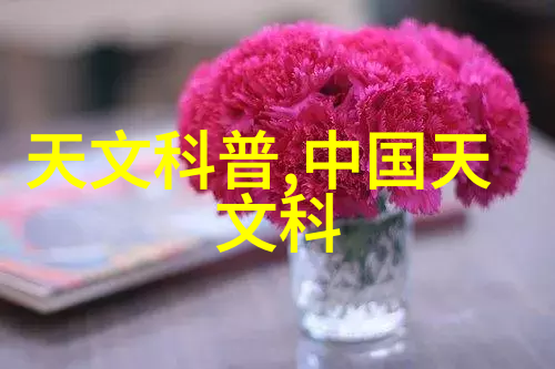 现代生活空间轻奢与简约的完美融合