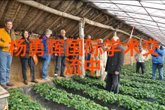 废气处理系统工艺流程图研究与优化基于先进技术的环境保护策略