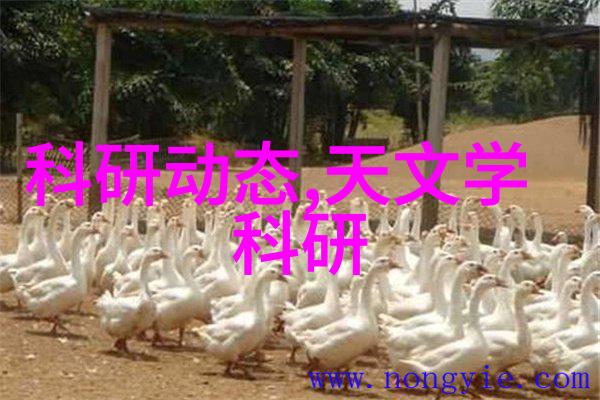 化工净制技术与环境保护的协同效应