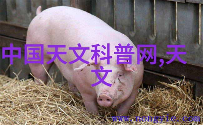 制药工程技术进步史一个动态发展领域