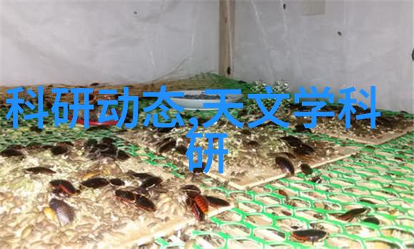 兴趣测评揭秘你的内在世界