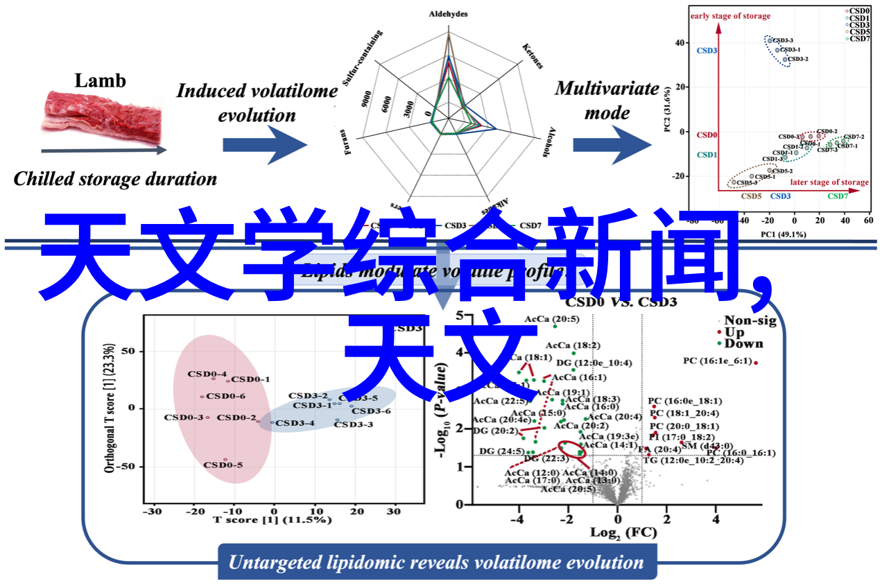 固定床反应器的高效操作固定床反应器在化工生产中的应用优势