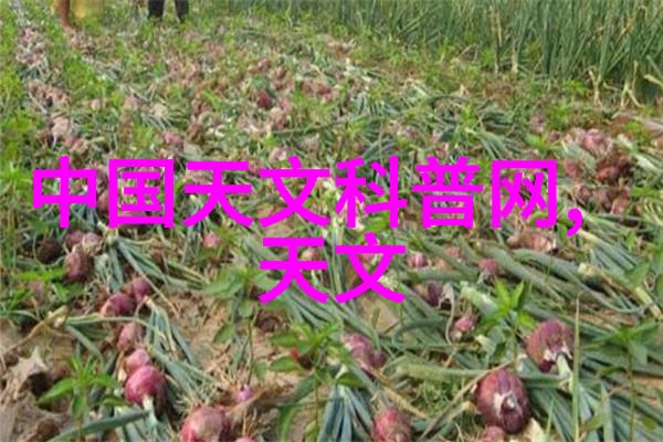 清洁能源革命中的绿色金子新一代制氢技术的兴起