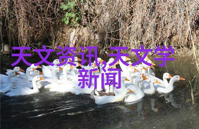 温暖的囚禁你里面太温暖了我不出来